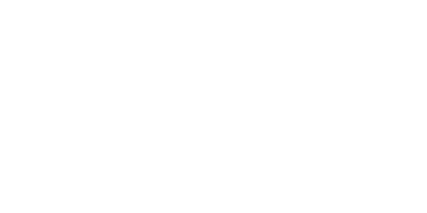 DLL Financial Solutions Logo