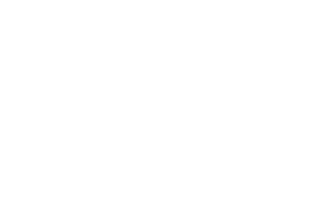 Electrical Safety First Logo